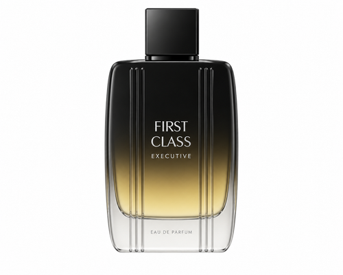 Etienne Aigner First Class Executive Eau de Toilette 100ml